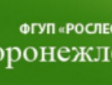 Воронежлеспроект Филиал ФГУП Рослесинфорг