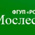 Мослеспроект Филиал ФГУП Рослесинфорг